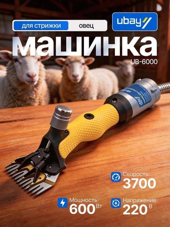 Ubay sifatli qo'y yungi olish mashinkalari sotiladi — O'zbekiston