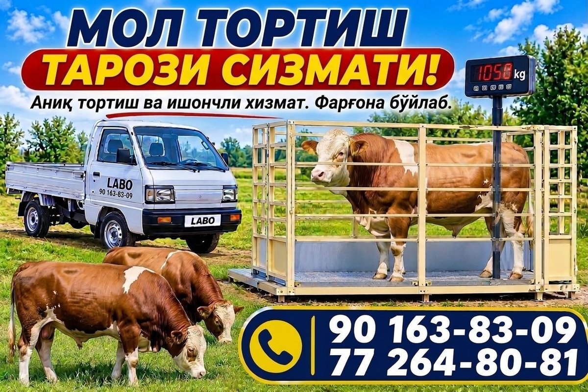 УЙДА МОЛ ТОРТИШ ХИЗМАТИ! — Farg'ona