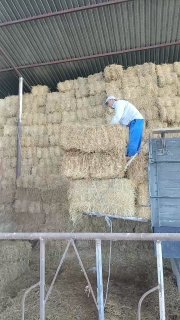 Тошкент тозза 90-1метрли сомон прес даставкаси ичида.… — Toshkent