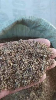 БЕДА УРУГ ТУПОНИ ҚУЙ ВА ЧОРВА УЧУН ОЗУҚА.1кг 1000… — O'zbekiston