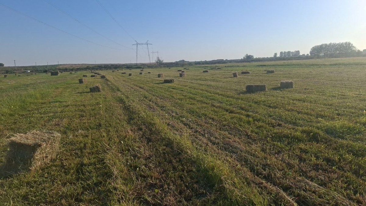 Srochniy Beda pres sotiladi — Qashqadaryo Ğuzor toxir zuxro qovchinda