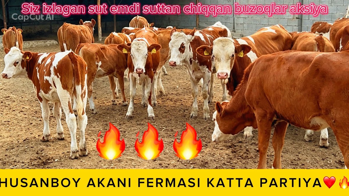 Sigir — Farg'ona viloyati, Oltiariq tumani