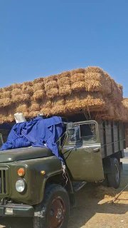 Тошкент даставка Сомон пресс. 90+смсони 190та колди — Toshkent