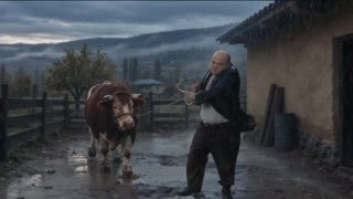Керакли мол-қўйларни ZoovaX орқали изланг 🐑 — O'zbekiston