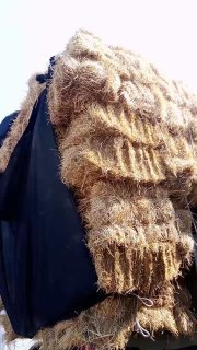 Тошкент туфонли Мош, майин хашак, йерёнгок прес, тозза беда… — Toshkent