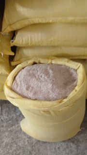 Toshkent viloyati Bo'ka tumani bug'doy kepak 25 kg standart… — Toshkent