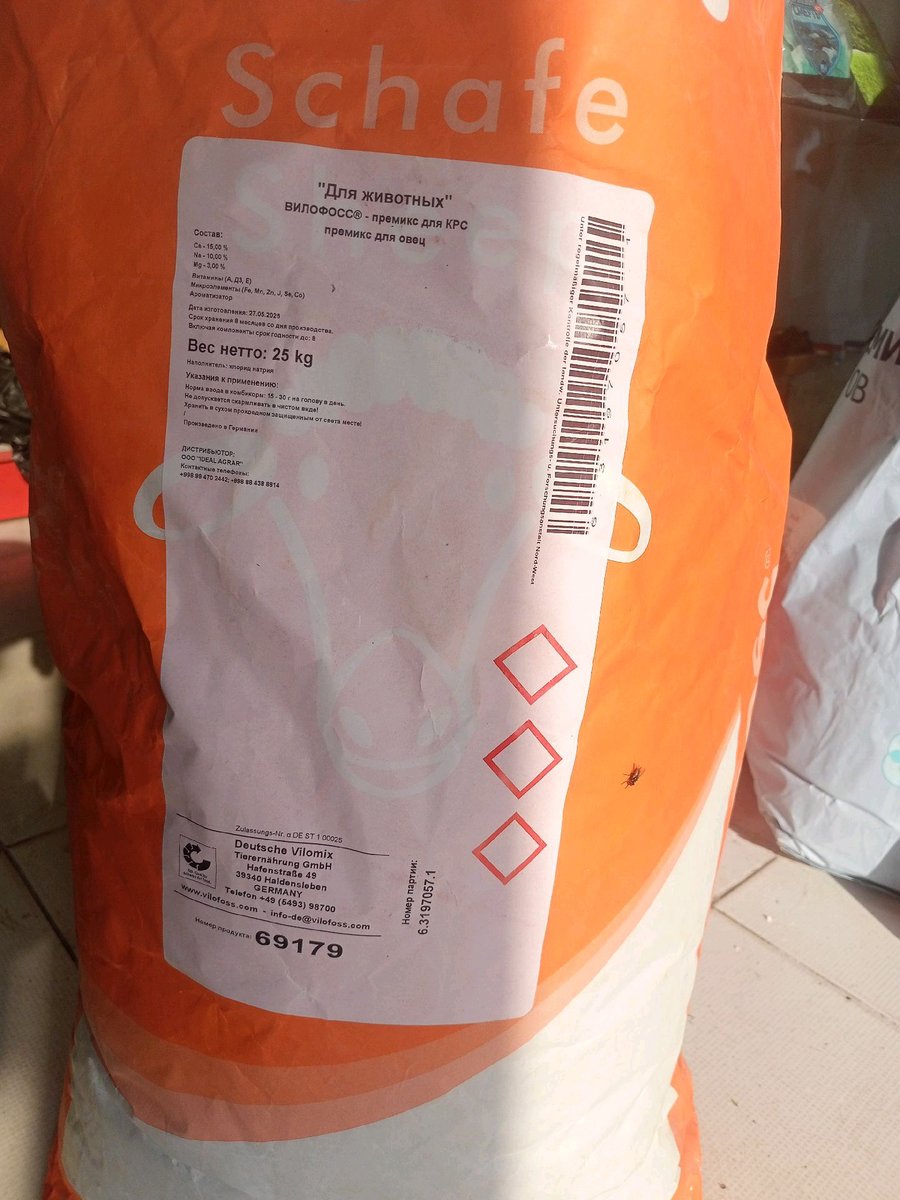 Qo'y — Andijon viloyati, Baliqchi tumani