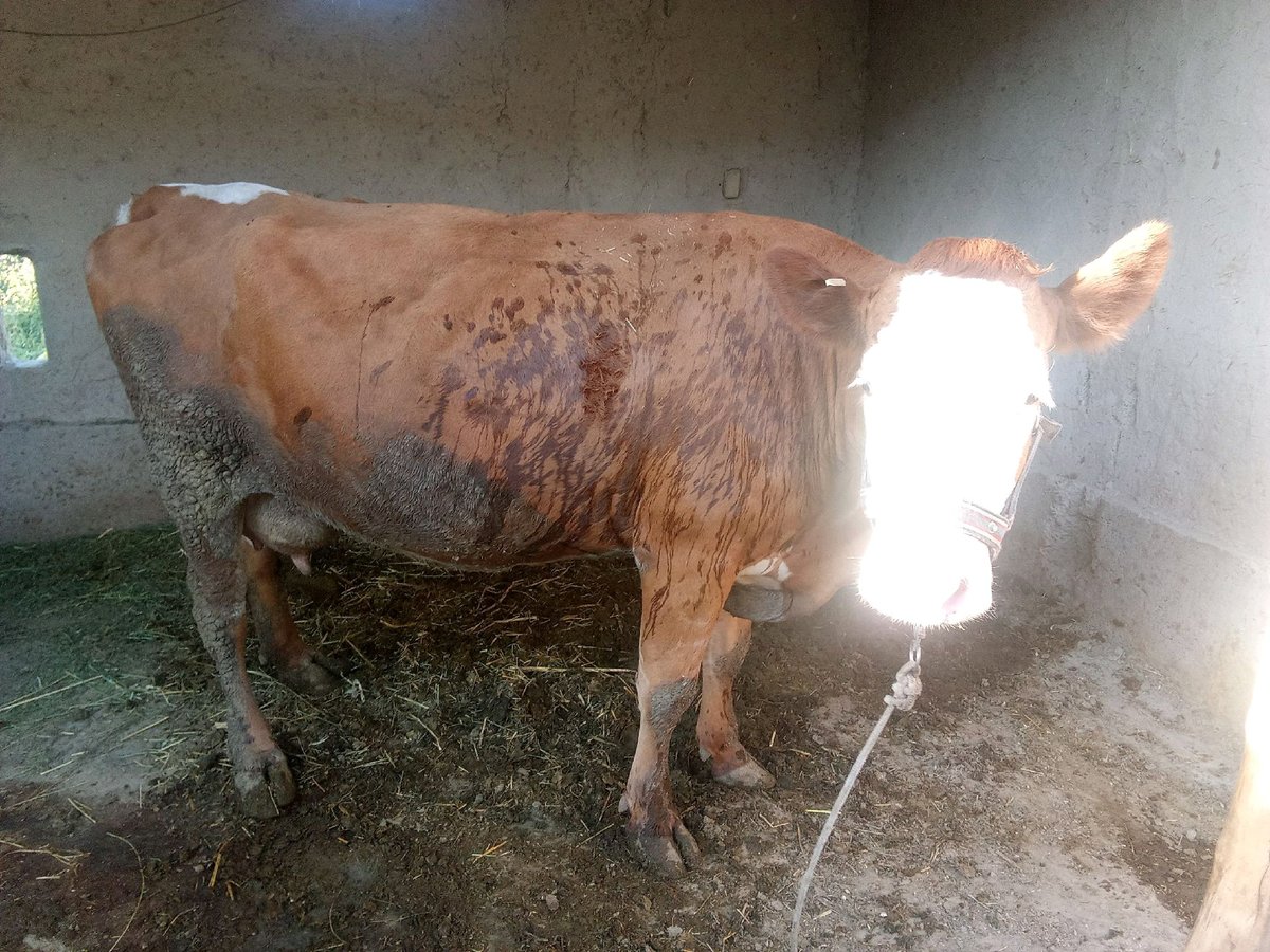 Sigir — Buxoro viloyati, Peshku tumani