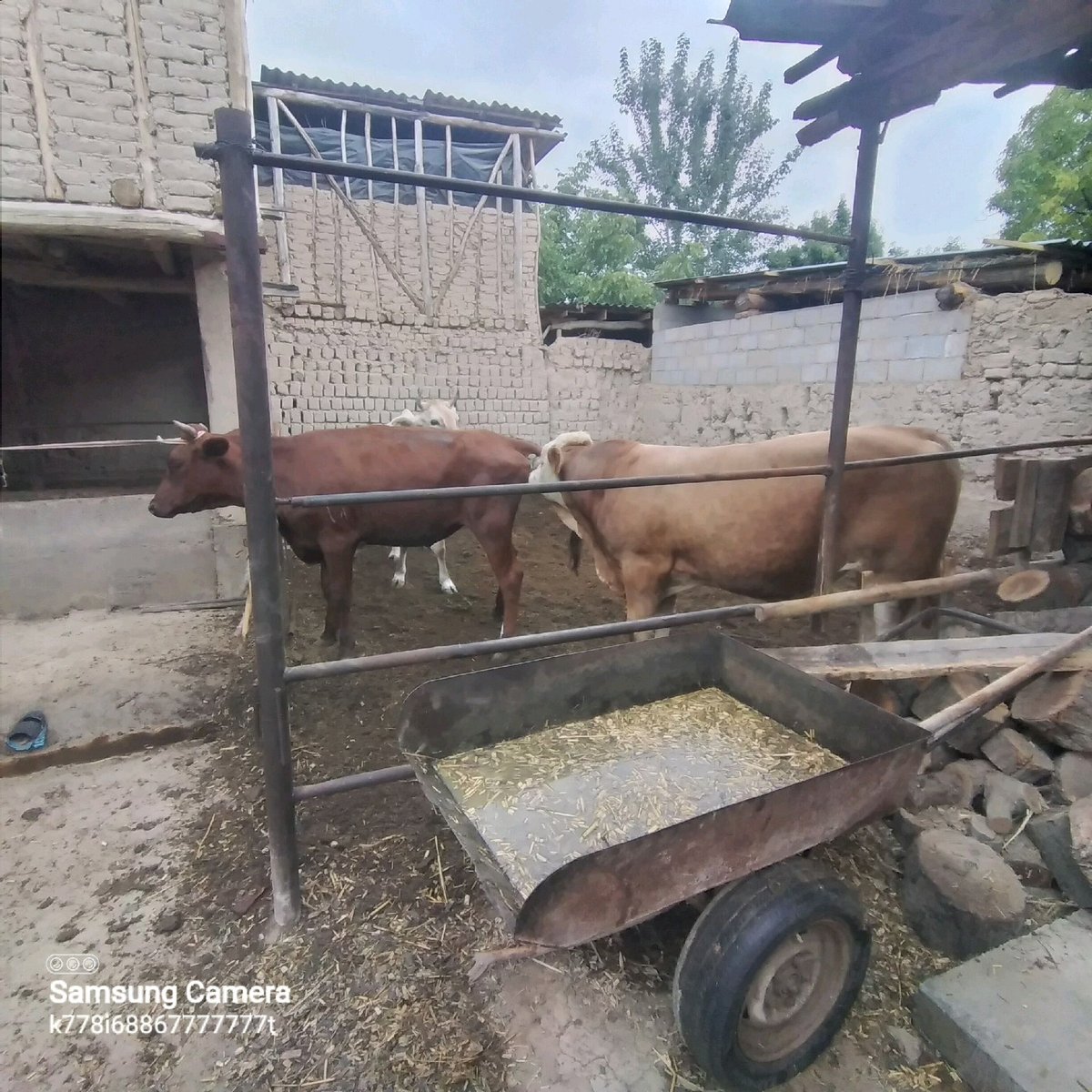 Sigir — Namangan viloyati, Uychi tumani