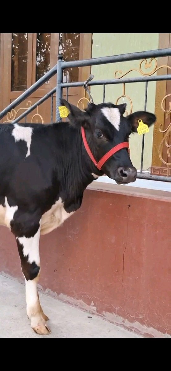 Sigir — Namangan viloyati, To'raqo'rg'on tumani