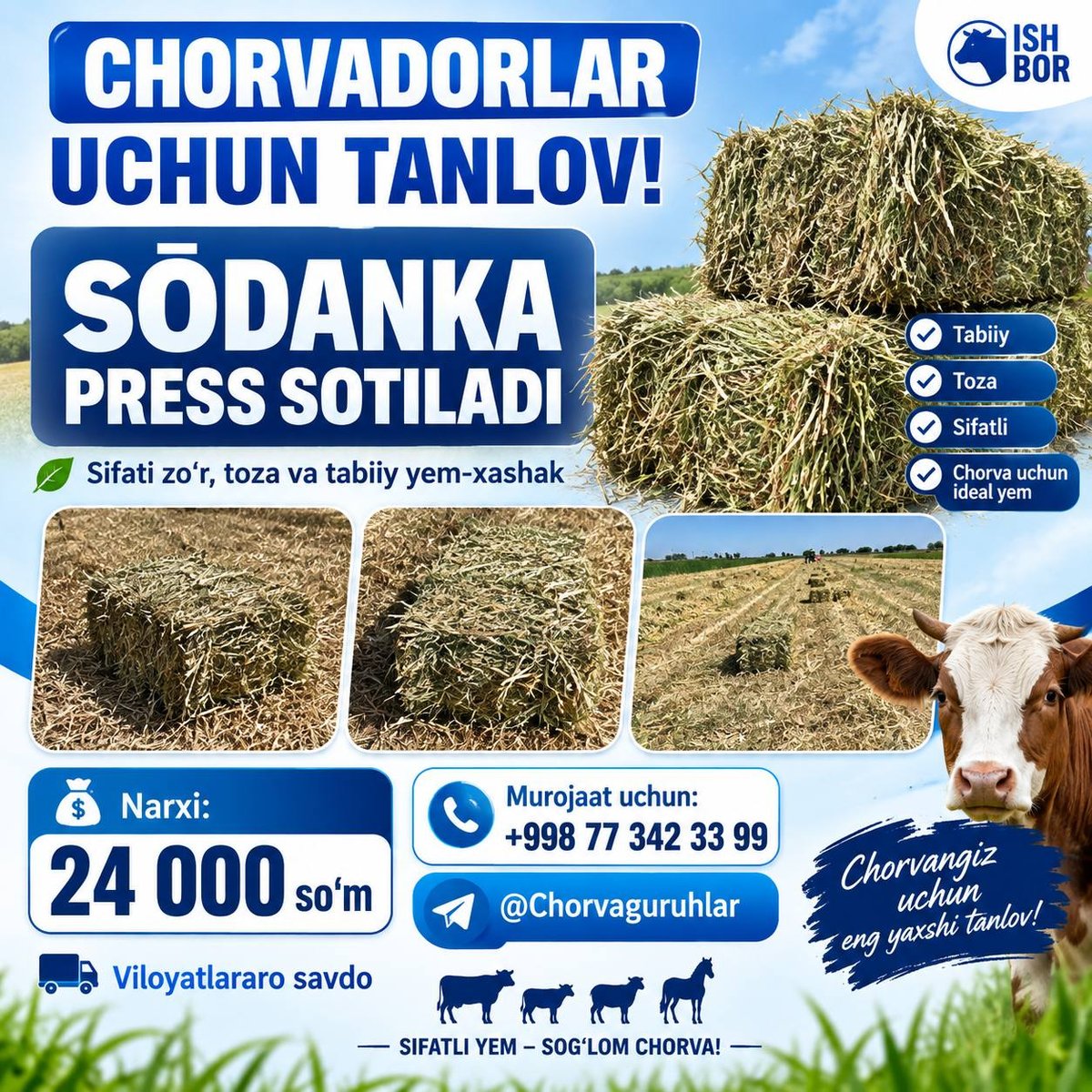 CHORVADORLAR UCHUN TANLOV — O'zbekiston