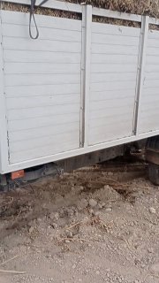 Тошкент йерёнгок прес сони 500та улгурибколила арзон нархда — Toshkent
