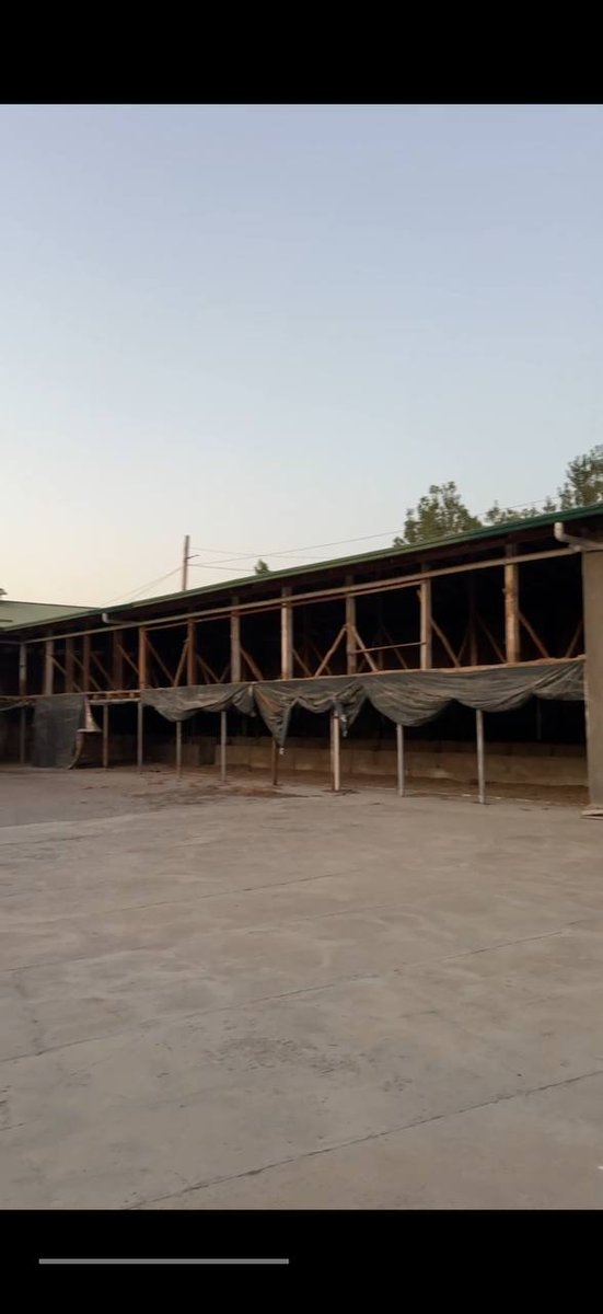 SOTILADI – TAYYOR CHORVACHILIK FERMASI! 🐄🏡 — Toshkent
