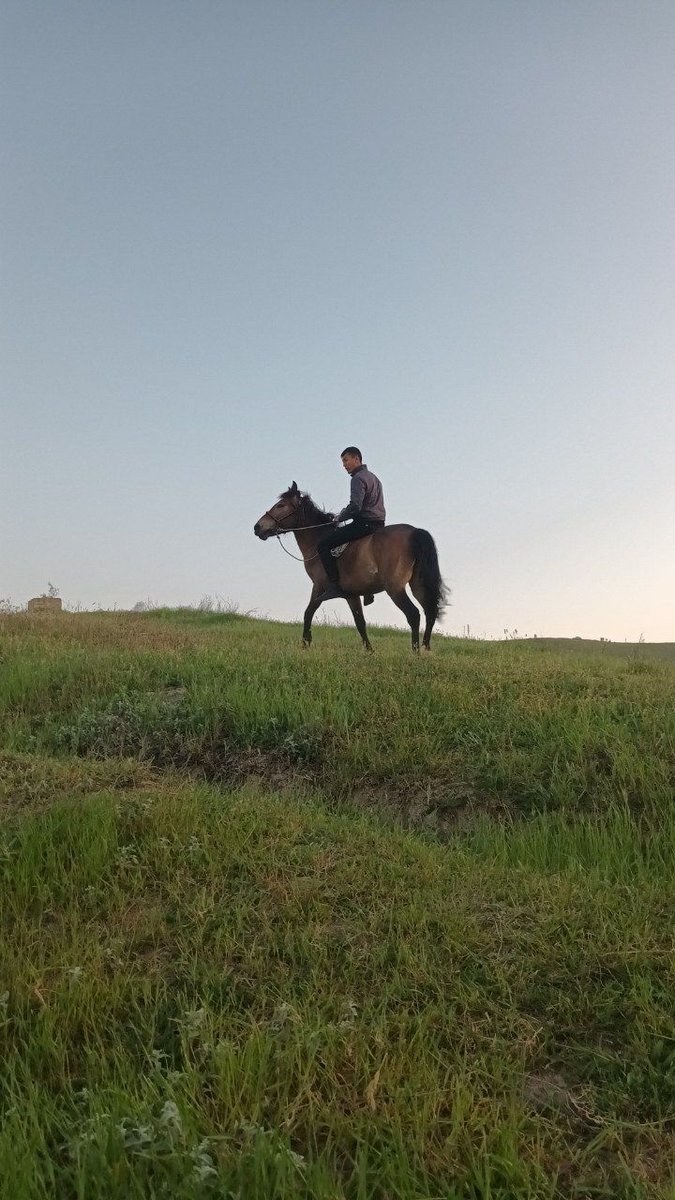 Boshqa — Andijon viloyati, Shahrixon tumani