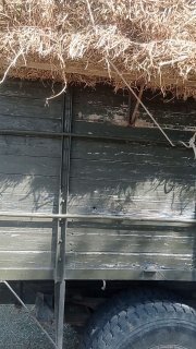 Тошкент мош прес тупаклигидан — Toshkent