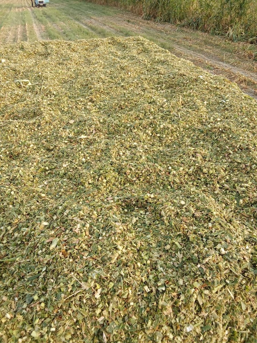 Silus bor sotiladi dastafka xizmati bor 99 534,99,80 — O'zbekiston